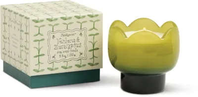 Свеча ароматическая Paddywax Tulip Verbena Lemongrass, с соевым воском, весенне-летний аромат, 155 г