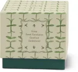 Свеча ароматическая Paddywax Tulip Verbena Lemongrass, с соевым воском, весенне-летний аромат, 155 г — фото 2