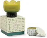 Свеча ароматическая Paddywax Tulip Verbena Lemongrass, с соевым воском, весенне-летний аромат, 155 г — фото 3