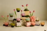 Свеча ароматическая Paddywax Tulip Wisteria Willow, с соевым воском, весенне-летний аромат, 155 г — фото 4
