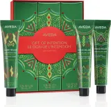 Набор кремов для рук Aveda Holiday Gift of Intention Hand Relief Trio, увлажняющие, три аромата по 30 мл — фото 1
