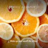 Мыло твёрдое Friendly Soap Natural Soap Orange Grapefruit с апельсином и грейпфрутом, с маслом ши, 7 x 95 г — фото 5