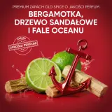Head & Shoulders Old Spice Captain - Шампунь против перхоти Head Shoulders Old Spice Captain для мужчин, с мужским ароматом, 1000 мл, 400 мл / 1000 мл — фото 3