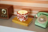 Ароматическая свеча Paddywax A Dopo Heirloom Tomato, долгое время горения, с соевым воском, 680 г — фото 4