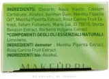 Argital Mint Toothpaste зубная паста мятная натуральная с белой глиной морской солью и хлорофиллом 75 мл — фото 3