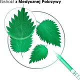 Шампунь Klorane Seboregulating Treatment Shampoo With Nettle Extract на основе экстракта крапивы для жирных волос, 200 мл / 400 мл — фото 5