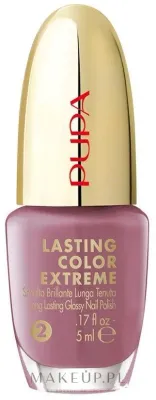 Лак для ногтей Pupa Lasting Color Extreme стойкий, насыщенный цвет, 5 мл, оттенок 019 - Dark Mauve