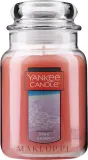 Свеча ароматическая Yankee Candle Pink Sands в стеклянной банке, фруктово-цветочная, 623 г — фото 3