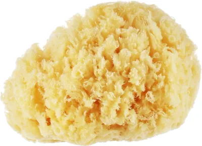 Губка для ванны Suavipiel Natural Sea Sponge натуральная морская, 1 шт