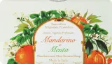 Мыло кусковое Saponificio Artigianale Fiorentino Tangerine & Mint мандарин и мята, 250 г — фото 1
