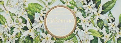 Saponificio Artigianale Fiorentino Saponificio Artigianale Jasmine Scented Soap (3 x soap 100 g) - Набор натурального мыла Saponificio Artigianale Жасмин с глицерином 3x100 г
