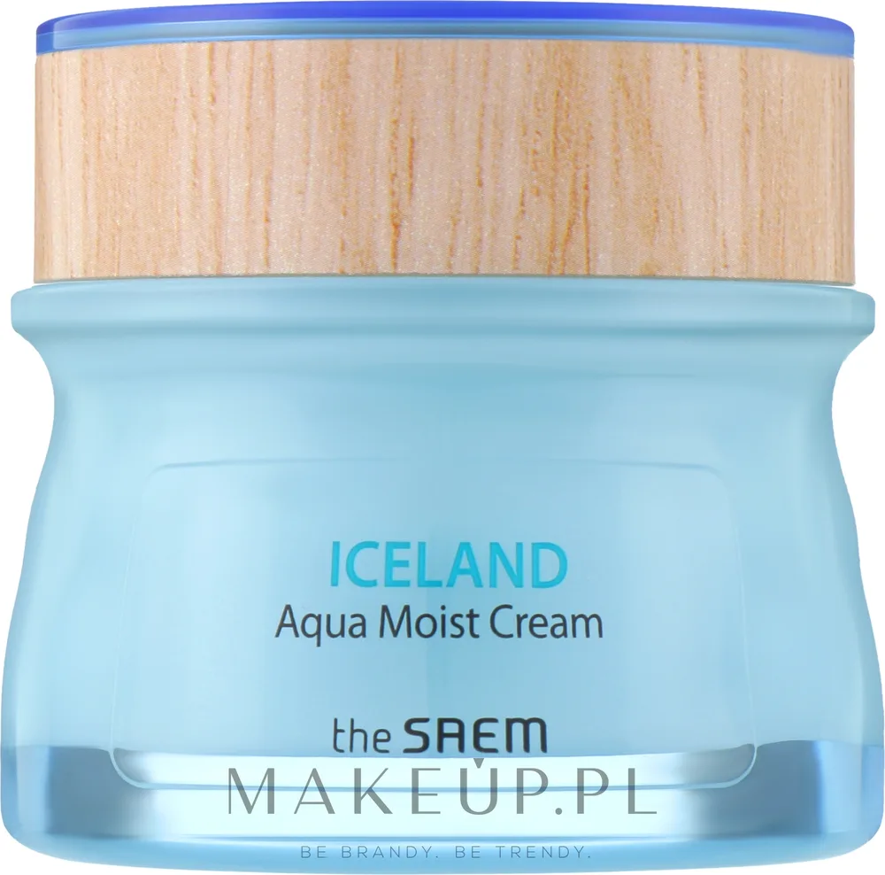 The Saem Iceland крем для лица увлажняющий Aqua Moist Cream, с минеральной водой и исландским мхом, 60 мл