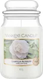 Свеча ароматическая Yankee Candle Camellia Blossom в банке, цветочная, 104 г — фото 3