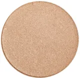 PuroBio Cosmetics Rozświetlacz - Хайлайтер для лица PuroBio Resplendent Highlighter, оттенок 01 — фото 1