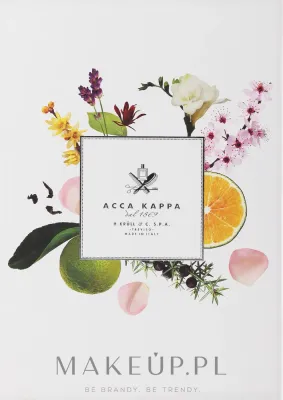 Набор для ароматизации дома Acca Kappa White Moss диффузор и наполнитель 250+500 мл