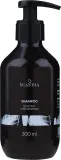 Шампунь для волос Scandia Cosmetics Shampoo с берёзовым дёгтем и активированным углём, 300 мл — фото 1