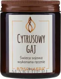 Bosphaera «Цитрусовая роща» — соевая свеча с деревянным фитилём — фото 1