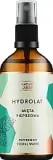 Гидролат для лица и волос Nature Queen Hydrolat Peppermint с мятой перечной, тонизирующий, 100 мл — фото 3