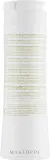 Шампунь для сухих волос Orising ArgORising Shampoo с аргановым маслом, 250 мл / 750 мл — фото 2