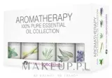 Rio-Beauty Rio Aromatherapy Oil Collection (oil/5x10ml) - Набор эфирных масел Rio ароматерапия мята чайное дерево лаванда лимон и эвкалипт 5x10 мл — фото 1