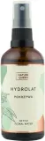Nature Queen Hydrolat Nettle гидролат крапивы для лица и волос, натуральный несмываемый спрей с пантенолом, для всех типов кожи и волос, 100 мл — фото 1