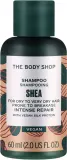 Шампунь для сухих волос The Body Shop Shea Intense Repair Shampoo интенсивно восстанавливающий, с ши, 250 мл — фото 3