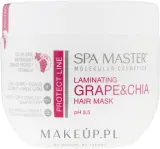 Маска для волос Spa Master ламинирующая, для повреждённых волос, масла касторки и кокоса, чиа, кератин, шёлк, 500 мл — фото 1