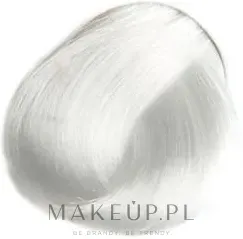 Краска для волос Selective Professional Colorevo кремовая, для стойкого окрашивания, 100 мл, оттенок CS - Lightening Corrector