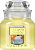 Свеча ароматическая Yankee Candle Juicy Citrus and Sea Salt в банке, апельсин и грейпфрут, 104 г — фото 1