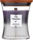 WoodWick Trilogy Hourglass Amethyst Sky / Свеча с деревянным фитилём, лаванда и сандал — фото 1