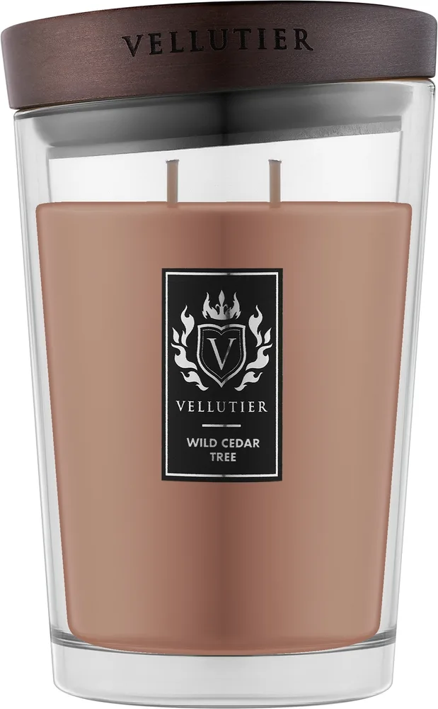 Vellutier Wild Cedar Tree / Свеча в стекле, кедр, шафран и кардамон