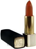 Помада для губ Etre Belle Color Passion Lipstick бархатистая, насыщенного цвета, 4,5 мл, оттенок 10 — фото 1