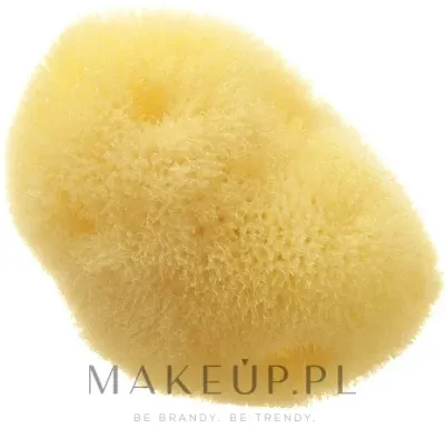 Губка морская натуральная Hydrea London Fina Silk Sea Sponge, для лица, 7-9 см