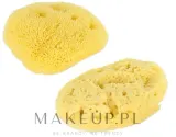 Набор натуральных морских губок Hydrea London Baby Fina Silk 7.62 см — фото 1