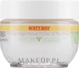Крем для лица Burt's Bees Sensitive ночной для чувствительной кожи 51 г — фото 1