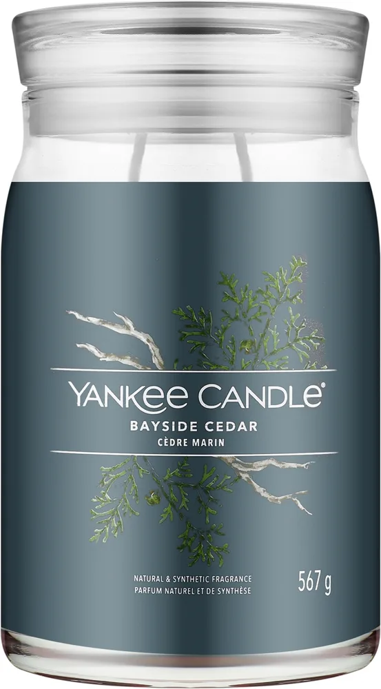 Ароматическая свеча Yankee Candle Bayside Cedar / Прибрежный кедр в банке, 2 фитиля