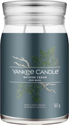 Ароматическая свеча Yankee Candle Bayside Cedar / Прибрежный кедр в банке, 2 фитиля, 567 г