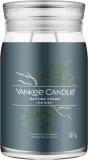 Ароматическая свеча Yankee Candle Bayside Cedar / Прибрежный кедр в банке, 2 фитиля — фото 1