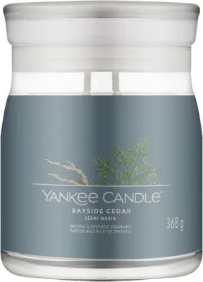 Ароматическая свеча Yankee Candle Bayside Cedar / Прибрежный кедр в банке, 2 фитиля, 368 г