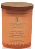 Chesapeake Bay Candle Chesapeake Bay Candle - Свеча Chesapeake Bay — фото 1