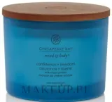 Chesapeake Bay Candle Chesapeake Bay Candle - Свеча Chesapeake Bay — фото 1