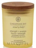 Chesapeake Bay Candle Chesapeake Bay Candle - Свеча Chesapeake Bay — фото 1