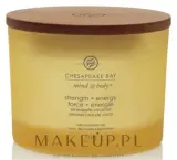 Chesapeake Bay Candle Chesapeake Bay Candle - Свеча Chesapeake Bay — фото 1