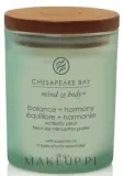 Chesapeake Bay Candle Chesapeake Bay Candle - Свеча Chesapeake Bay — фото 1