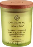 Chesapeake Bay Candle Chesapeake Bay Candle - Свеча Chesapeake Bay — фото 1