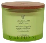Chesapeake Bay Candle Chesapeake Bay Candle - Свеча Chesapeake Bay — фото 1