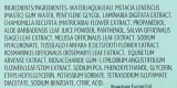 Эссенция-спрей для лица Repechage Hydra Dew Pure Facial Essence Mist, с гиалуроновой кислотой и водой мастики, 120 мл — фото 3