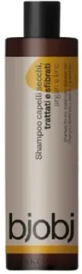 Шампунь для волос Bjobj Argan Linseed Shampoo с аргановым маслом и семенами льна, для окрашенных и сухих волос, 250 мл
