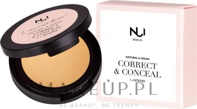 Корректор для лица NUI Cosmetics Correct and Conceal 2 в 1, кремовый, 3 г
