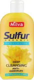 Шампунь против перхоти и выпадения волос Milva Anti Dandruff and Anti Hair Loss Shampoo with Organic Sulfur с органической серой, 200 мл — фото 1